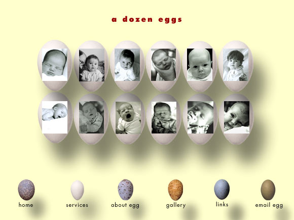 egg photography gallery